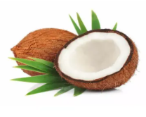 Coconut - Narikel ( নারিকেল )