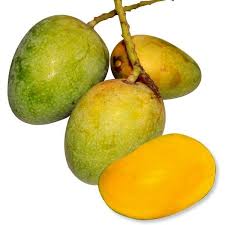 Gopalbhog Mango 10 KG