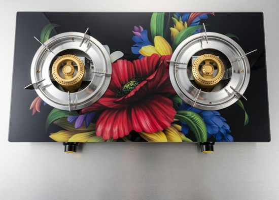 Auto Double Burner Gas Stove